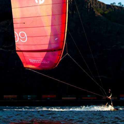 BANDIT-BRAINCHILD-V2-GALLERIE-3