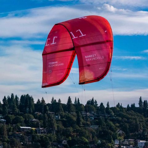 BANDIT-BRAINCHILD-V2-GALLERIE-5